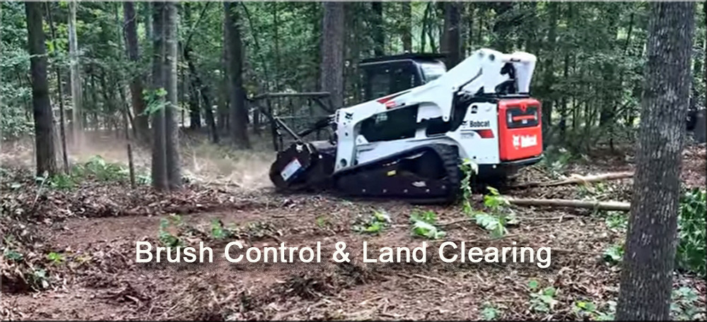 landclearing