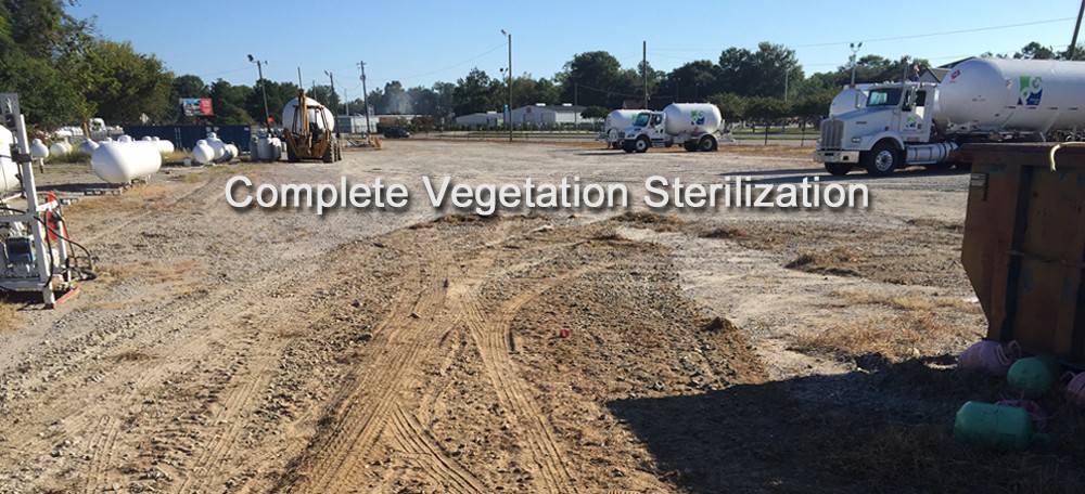 sterilization