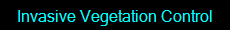 Invasive Vegetation Control