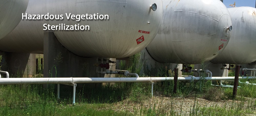 Haz-Veg-Solutions